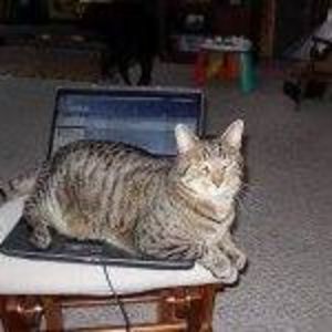 Meet your Posher, Gretchen